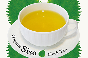 Organic Siso Herb Tea